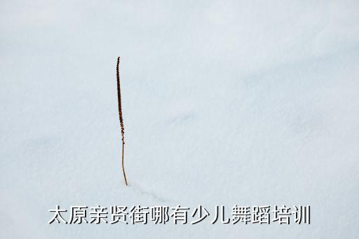 太原亲贤街哪有少儿舞蹈培训