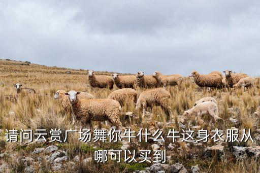 请问云赏广场舞你牛什么牛这身衣服从哪可以买到