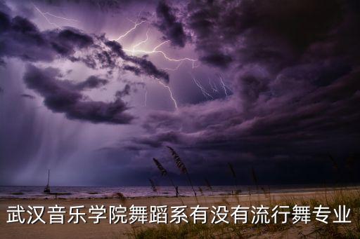 武汉音乐学院舞蹈系有没有流行舞专业