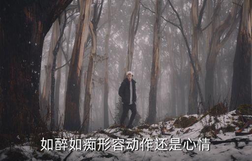 如醉如痴形容动作还是心情