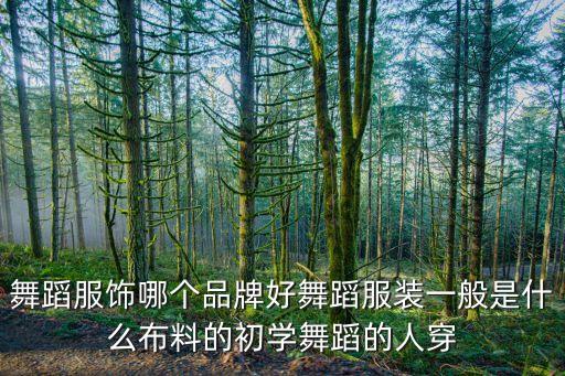 古典舞入门舞蹈服，古典舞服装选甚么好