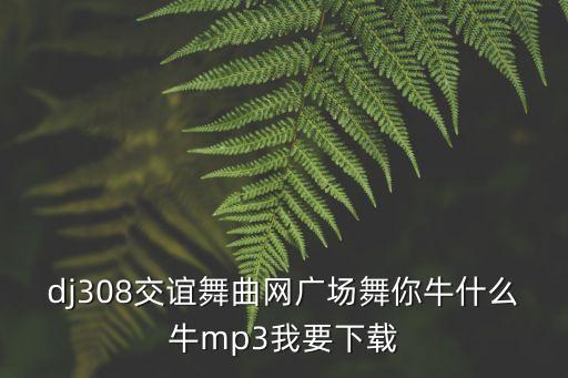 尔牛什么牛广场舞，糖豆广场舞萱萱牛什么牛