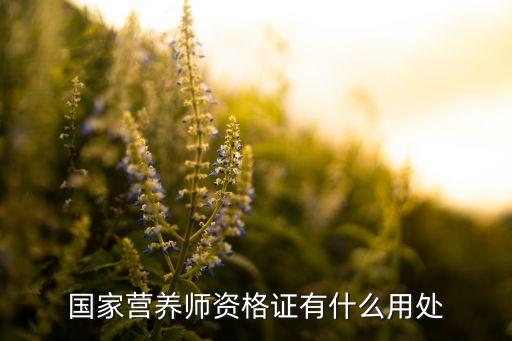 国家营养师资格证有什么用处