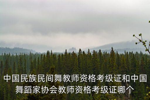 民族舞考级证哪个最好，中国民族民间舞教师资格考级证和中国舞蹈家协会教师资格考级证哪个