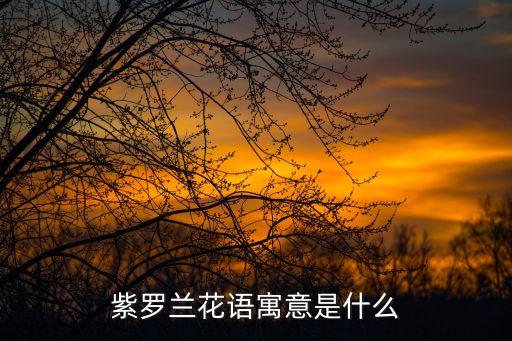 紫罗兰之舞寓意是什么，紫罗兰有什么象征意义