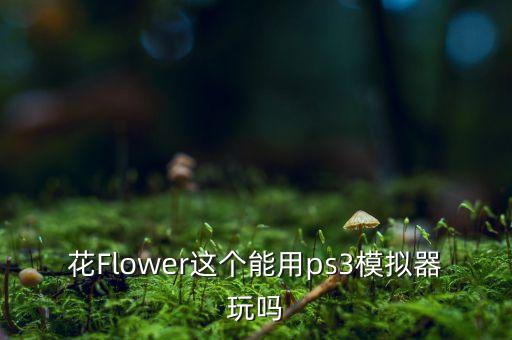 花Flower这个能用ps3模拟器玩吗