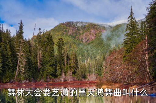 黑天鹅变奏音乐是什么，舞林大会娄艺潇的黑天鹅舞曲叫什么