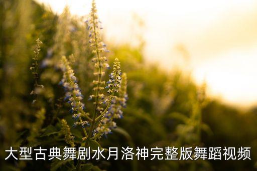 大型古典舞剧水月洛神完整版舞蹈视频