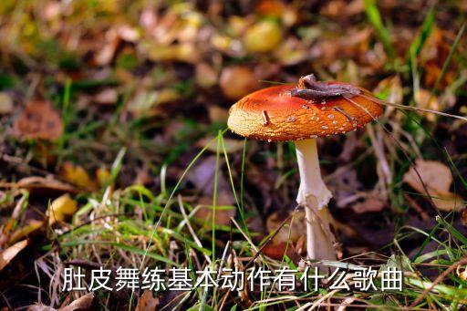 肚皮舞练基本动作有什么歌曲