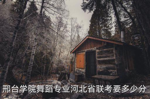 邢台学院舞蹈系，邢台学院舞蹈专业河北省联考要多少分