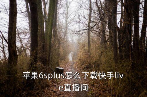 苹果6splus怎么下载快手live直播间
