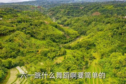 六一跳什么舞蹈啊要简单的