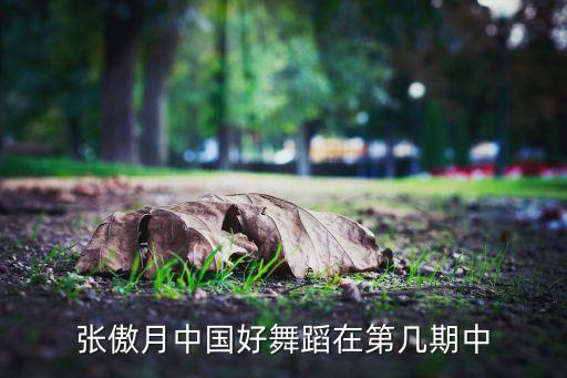 张傲月 什么舞，张傲月中国好舞蹈在第几期中