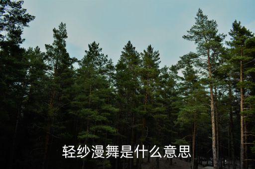 轻纱漫舞是什么意思