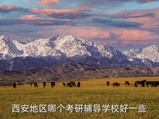 西安地区哪个考研辅导学校好一些
