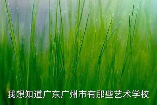 我想知道广东广州市有那些艺术学校