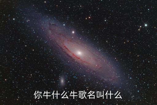糖豆牛什么牛水兵舞，牛什么牛歌曲谁唱的