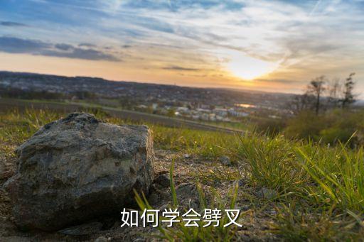 如何学会劈叉