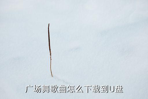 广场舞军歌声声怎么下载，怎样下载广场舞曲子到u盘