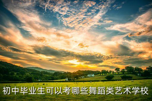 初中毕业生可以考哪些舞蹈类艺术学校