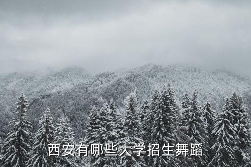 舞蹈专业的本科院校，舞蹈艺术生适合考那些综合类的大学