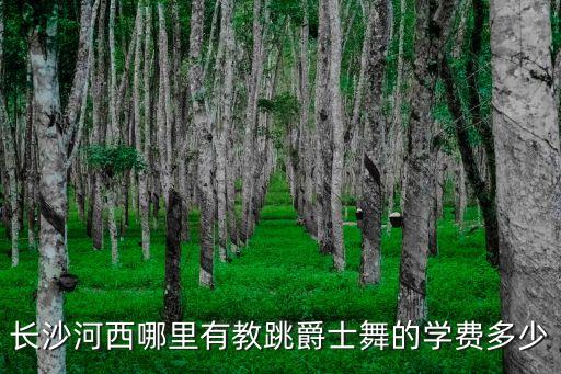 长沙河西哪里有教跳爵士舞的学费多少