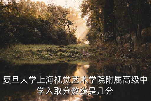 复旦大学上海视觉艺术学院附属高级中学入取分数线是几分