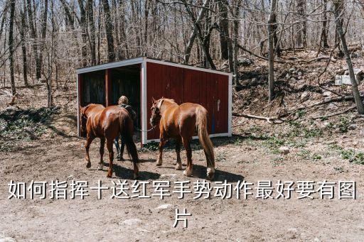 广场舞十送红军32步，如何指挥十送红军手势动作最好要有图片