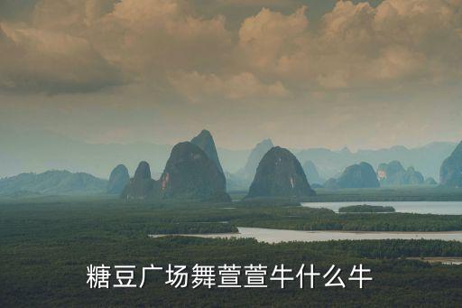 糖豆广场舞萱萱牛什么牛