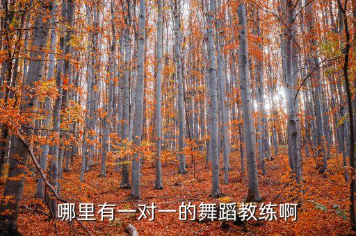 哪里有一对一的舞蹈教练啊