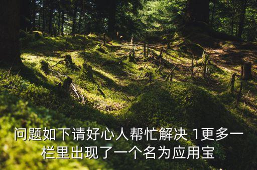 以闪亮之名应用宝渠道，问题如下请好心人帮忙解决 1更多一栏里出现了一个名为应用宝