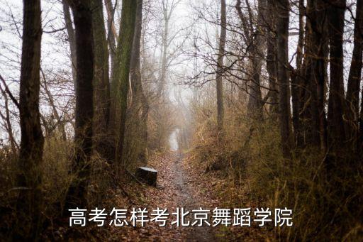 高考怎样考北京舞蹈学院