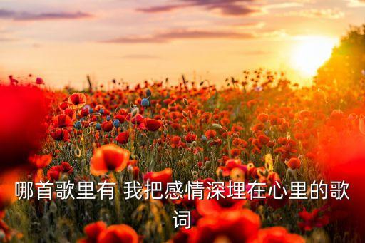 哪首歌里有 我把感情深埋在心里的歌词