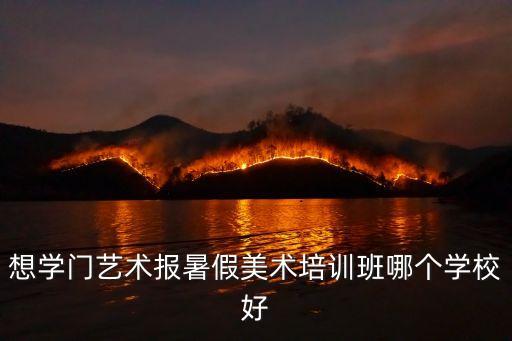 想学门艺术报暑假美术培训班哪个学校好