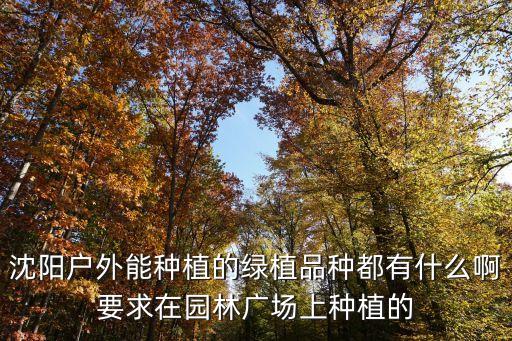 沈阳户外能种植的绿植品种都有什么啊要求在园林广场上种植的