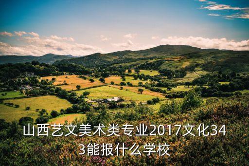 山西艺文美术类专业2017文化343能报什么学校