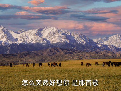 怎么忽然好想念 歌词，怎么突然好想你 是那首歌