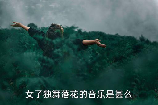 女子独舞落花的音乐是甚么