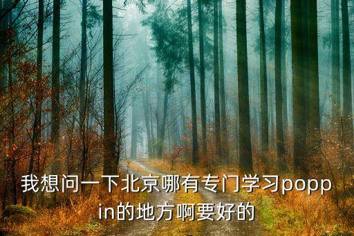 我想问一下北京哪有专门学习poppin的地方啊要好的