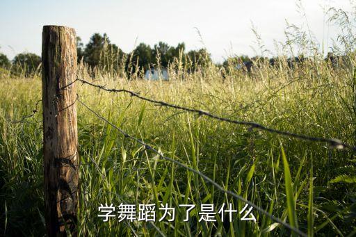 学舞蹈为了是什么