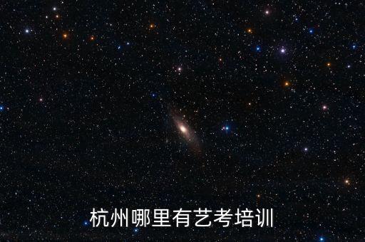 杭州哪里有艺考培训