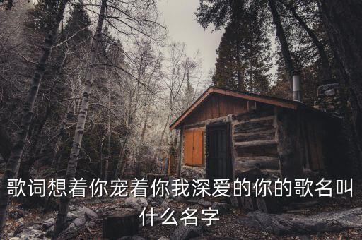 歌词想着你宠着你我深爱的你的歌名叫什么名字