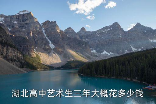 湖北高中艺术生三年大概花多少钱