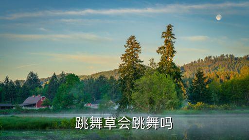 跳舞草会跳舞吗