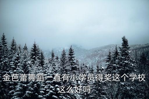 什么芭蕾舞蹈学校好，金芭蕾舞蹈一直有小学员得奖这个学校这么好吗