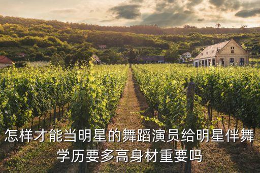 怎样才能当明星的舞蹈演员给明星伴舞学历要多高身材重要吗