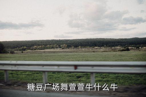 糖豆广场舞萱萱牛什么牛