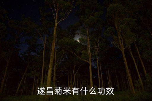 遂昌菊米有什么功效