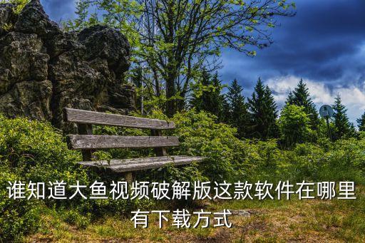 谁知道大鱼视频破解版这款软件在哪里有下载方式