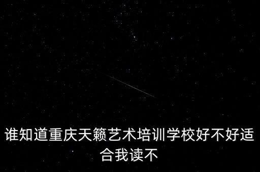谁知道重庆天籁艺术培训学校好不好适合我读不